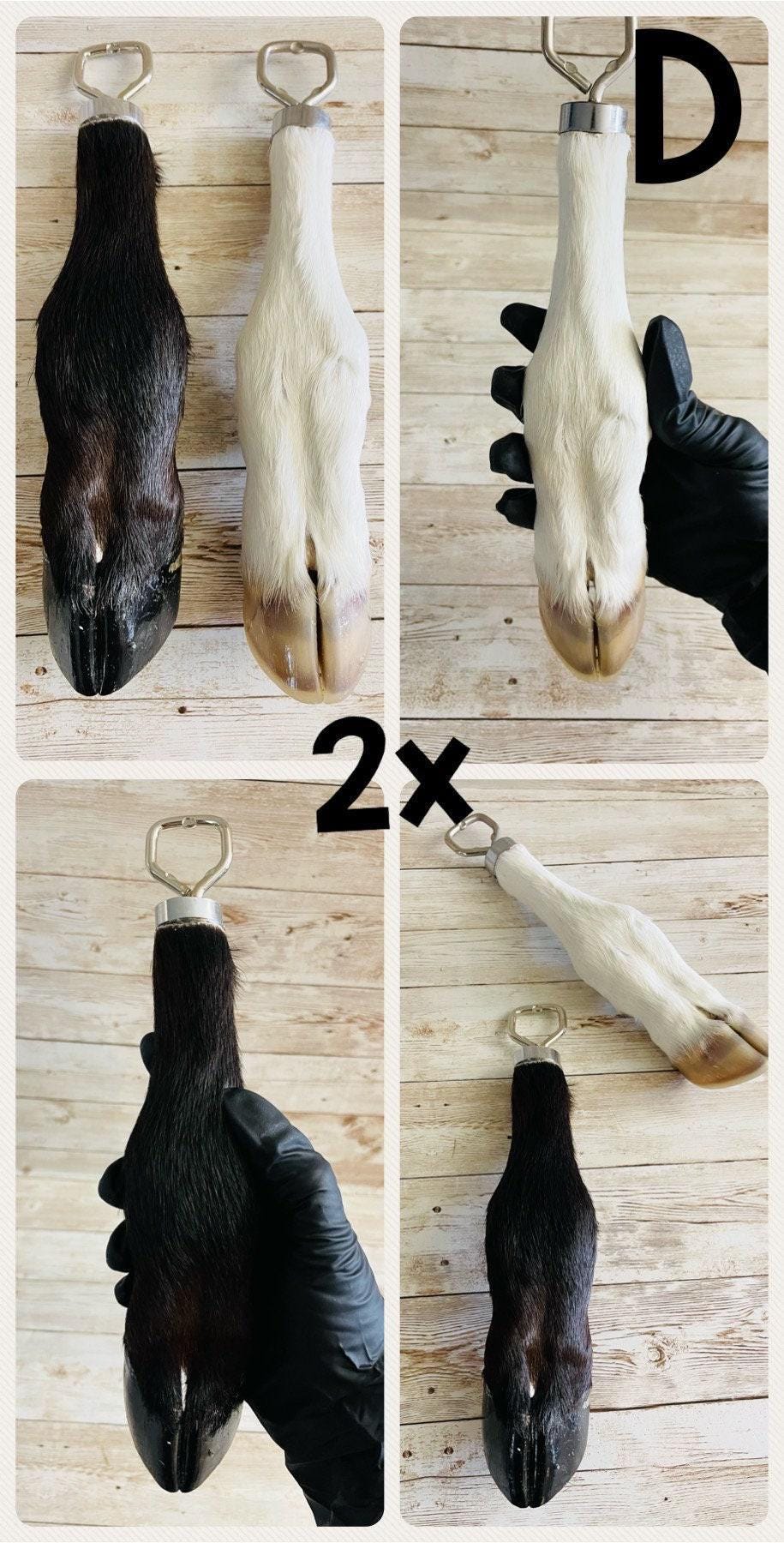 Calf Foot Bottle Opener Destapador de Botellas de Pata de Becerro Mexicano