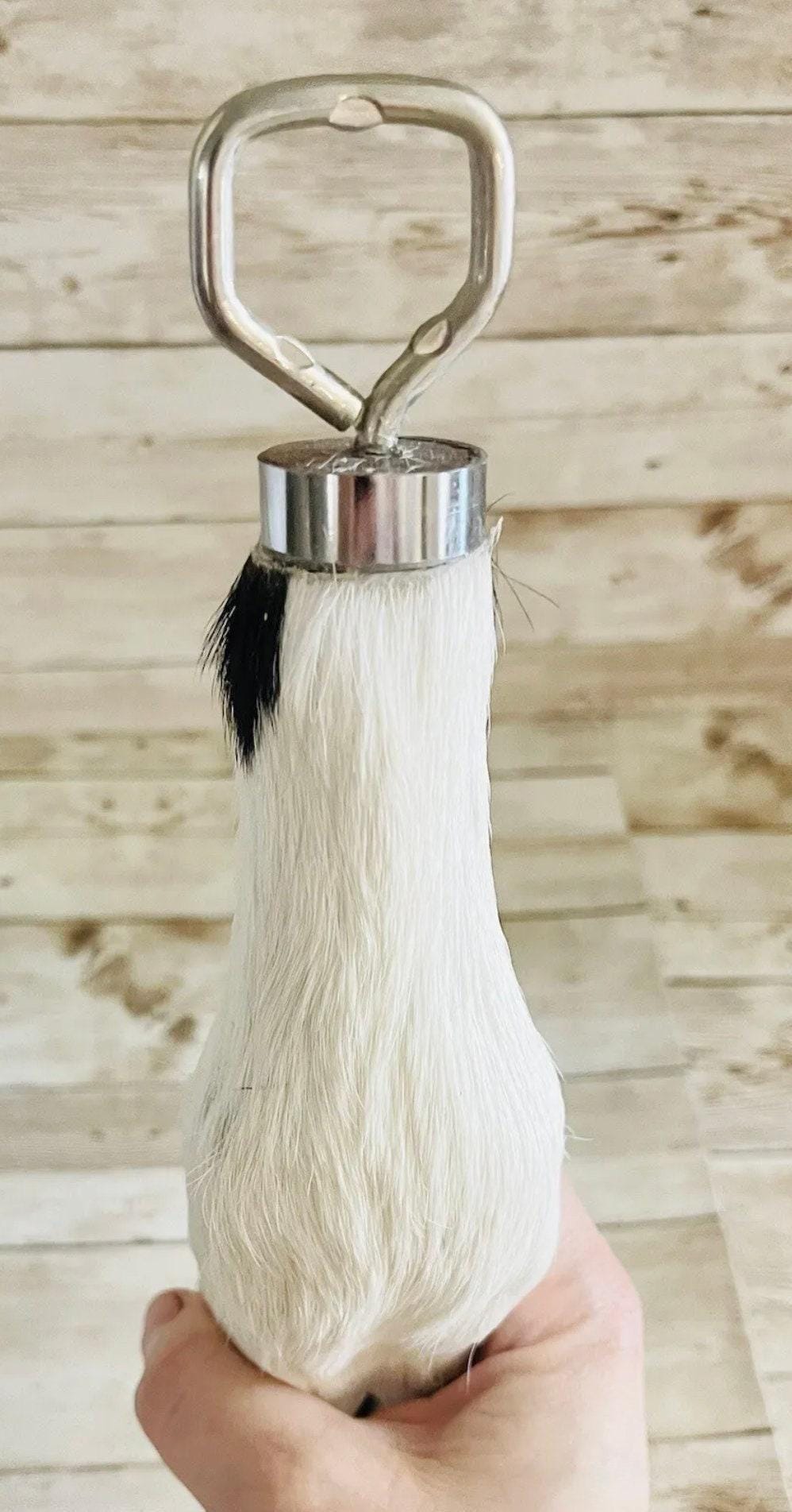 Calf Foot Bottle Opener Destapador de Botellas de Pata de Becerro Mexicano