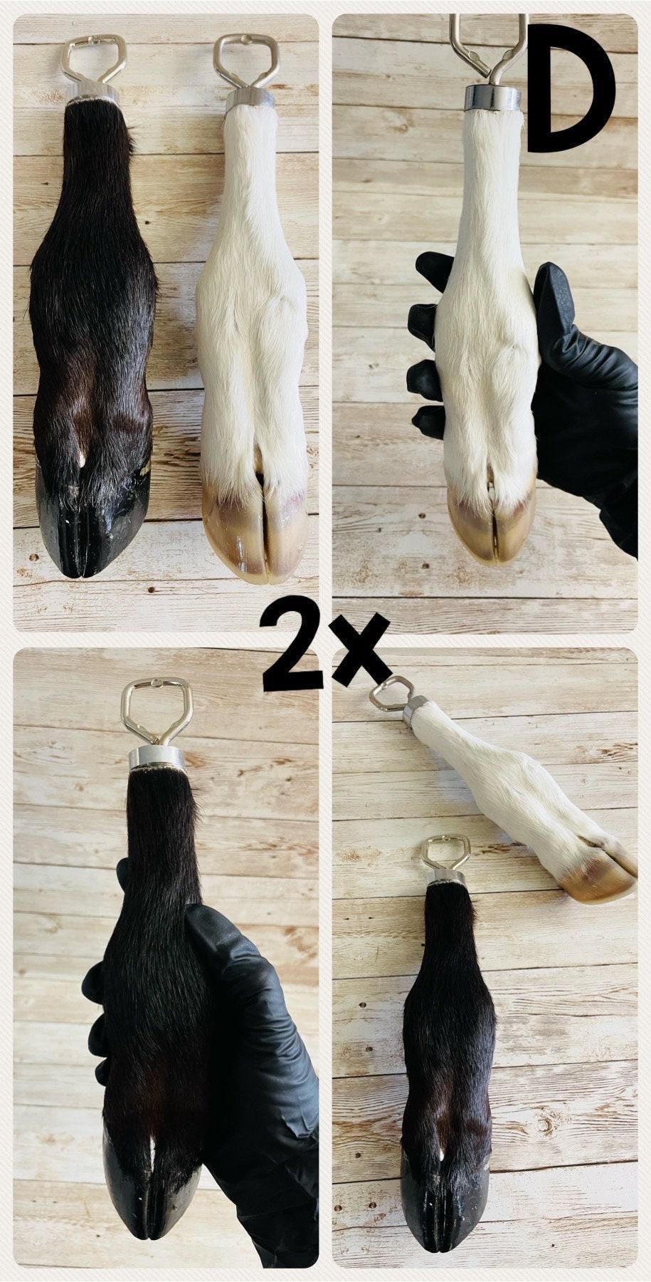 Calf Foot Bottle Opener Destapador de Botellas de Pata de Becerro Mexicano