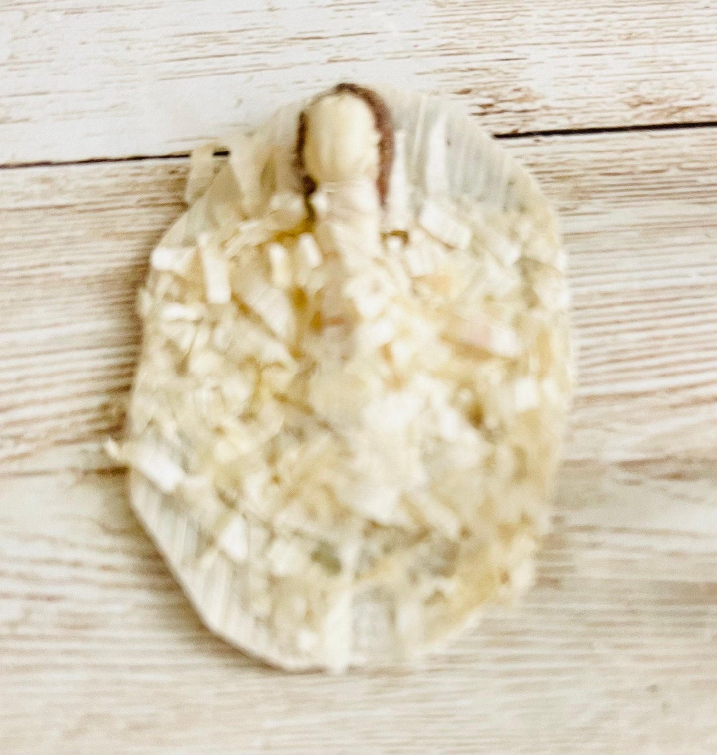 Mini Corn Husk Nativity Set Nacimiento Navideño Mini de Hoja de Maiz 2 Inches Tall